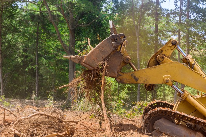 Land Clearing Equipment in Use