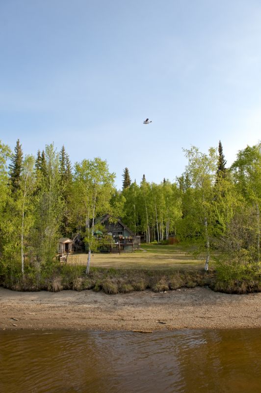 Site Clearing for Development