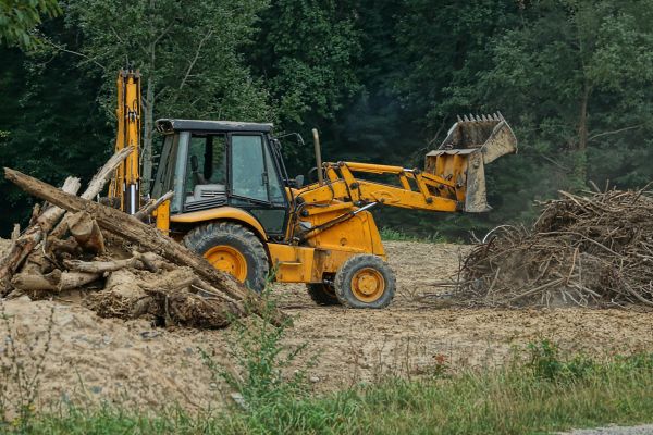 Cost of Land Clearance Service in Hayden