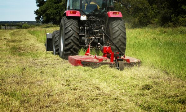 Brush Clearing Service in Hayden