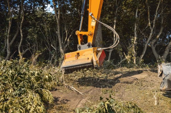 Brush Removal Service in Hayden