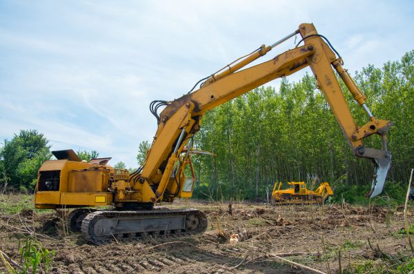 Cost of Farm Clearing in Hayden