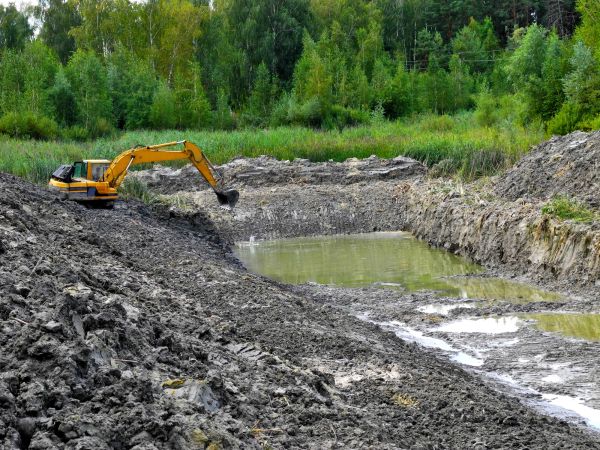 Cost of Lake Lot Clearing in Hayden