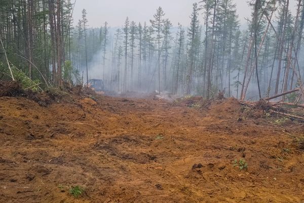 Cost of Hill Clearing in Hayden