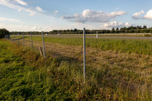 Cost of Property Line Clearing in Hayden