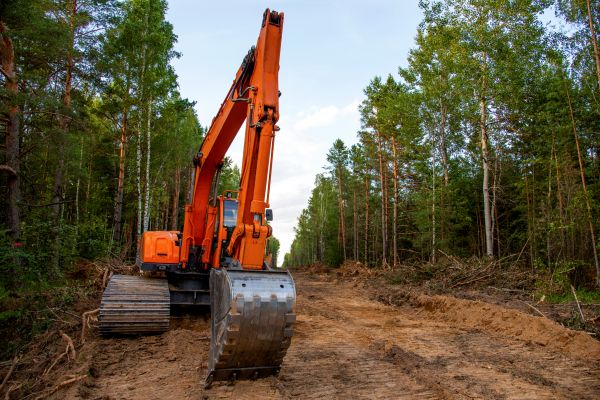 Cost of Backhoe Land Clearing in Hayden