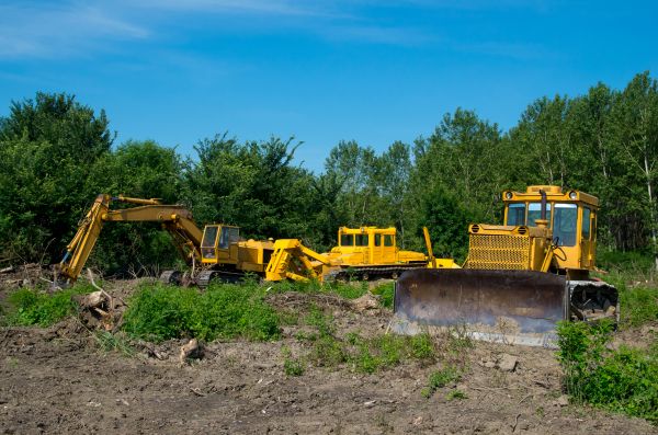 Cost of Bulldozer Clearing in Hayden