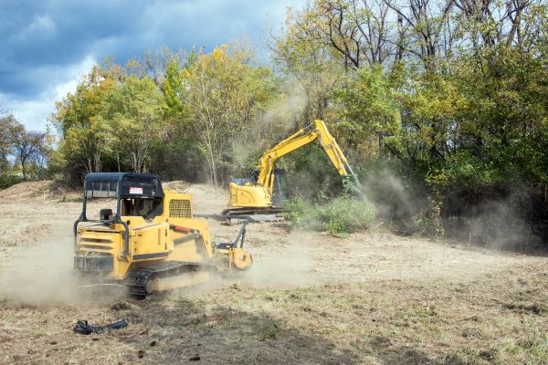 Cost of Terrain Clearing in Hayden