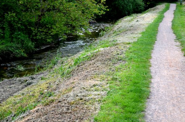 Cost of Trail Cutting in Hayden